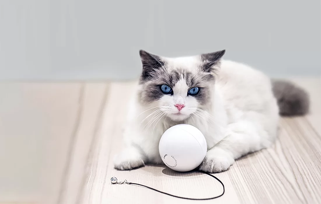 Jucarie smart HomeRunPet Play Ball TB10 pentru animale, Alb 1 Lerato.ro